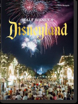 Obrázok Disneyland