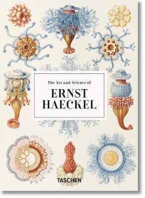 Obrázok Haeckel