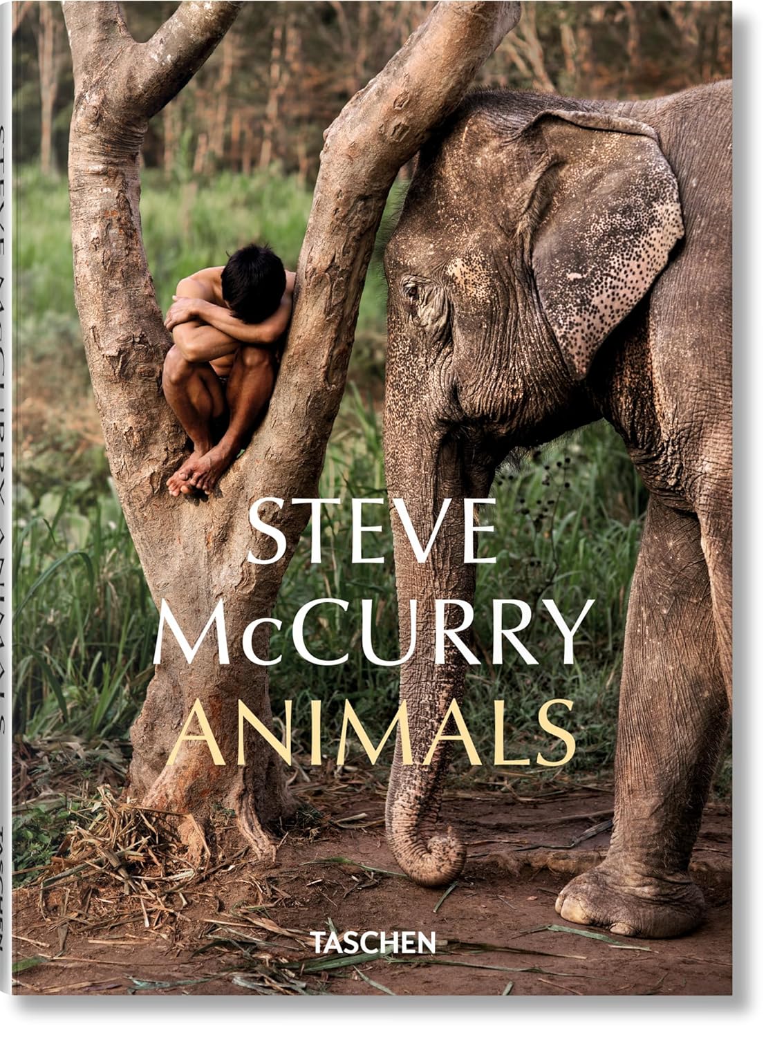 Obrázok Steve McCurry. Animals