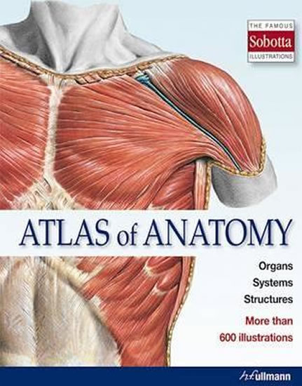 Obrázok Atlas of Anatomy : The Human Body Described in 13 Systems