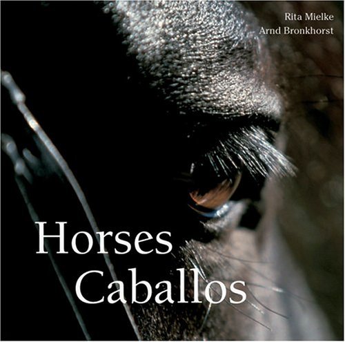 Obrázok Horses Caballos