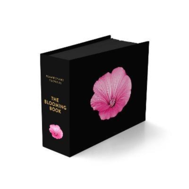 Obrázok Blooming Book - Flamboyant Flowers