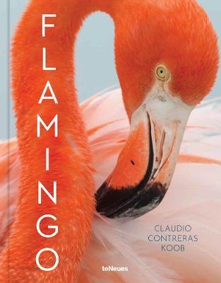 Obrázok Flamingo