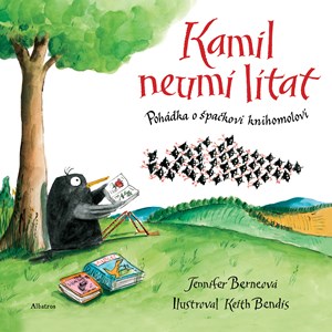 Obrázok Kamil neumí lítat