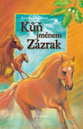 Obrázok Kůň jménem Zázrak