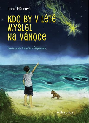 Obrázok Kdo by v létě myslel na Vánoce