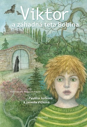 Obrázok Viktor a záhadná teta Bobina