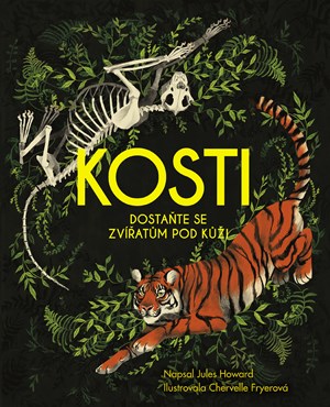 Obrázok Kosti