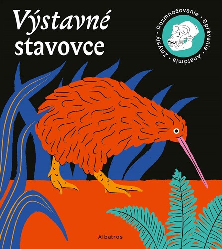 Obrázok Výstavné stavovce