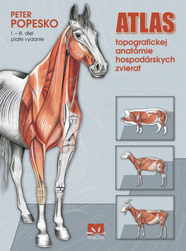 Obrázok Atlas topografickej anatómie hospodárskych zvierat