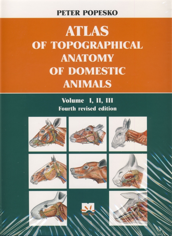 Obrázok Atlas of topographical anatomy of domestic animals