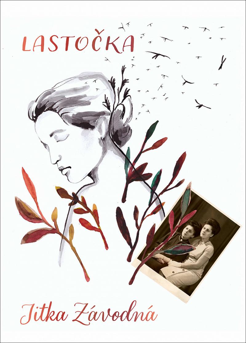 Obrázok Lastočka