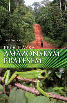 Obrázok Procházka amazonským pralesem