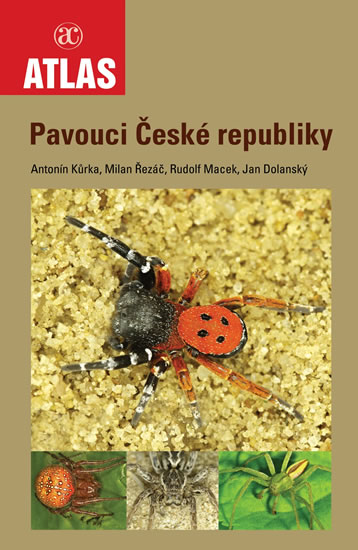 Obrázok Pavouci České republiky