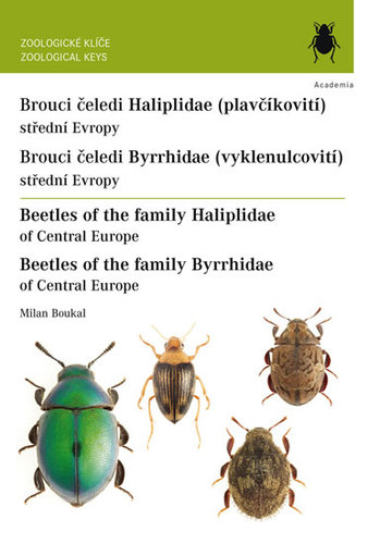 Obrázok Brouci čeledí plavčíkovití a vyklenulcovití / Beetles of the family Haliplidae and Byrrhidae