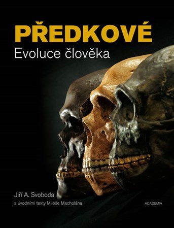 Obrázok Předkové - Evoluce člověka - 2.vydání