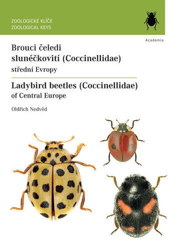 Obrázok Brouci čeledi slunéčkovití (Coccinellida