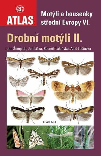 Obrázok Drobní motýli II. - Motýli a housenky střední Evropy VI.