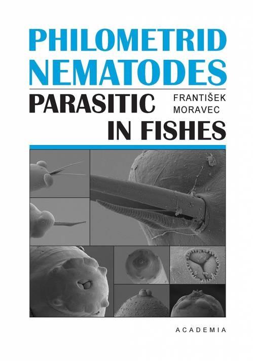 Obrázok Philometrid nematodes parasitic in fishes