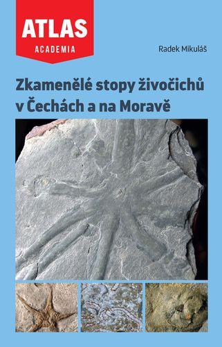 Obrázok Zkamenělé stopy živočichů v Čechách a na Moravě