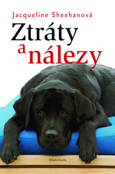 Obrázok Ztráty a nálezy