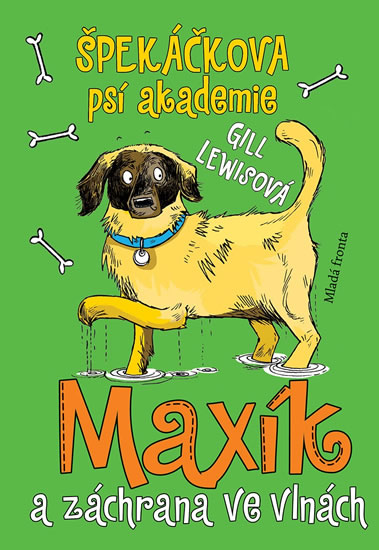 Obrázok Špekáčkova psí akademie 4: Maxík a záchrana ve vlnách