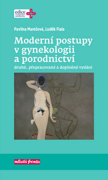Obrázok Moderní postupy v gynekologii a porodnictví
