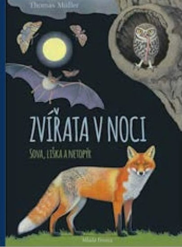 Obrázok Zvířata v noci