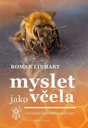 Obrázok Myslet jako včela 