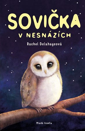 Obrázok Sovička v nesnázích