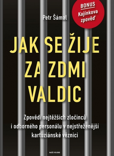 Obrázok Jak se žije za zdmi Valdic