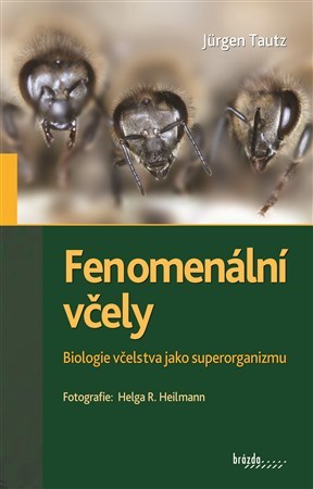 Obrázok Fenomenální včely - Biologie včelstva jako superorganizmu - 3.vydání