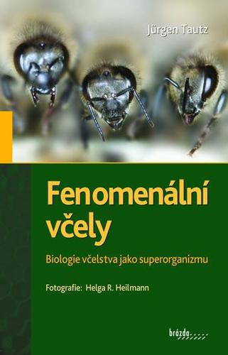 Obrázok Fenomenální včely - Biologie včelstva jako superorganizmu