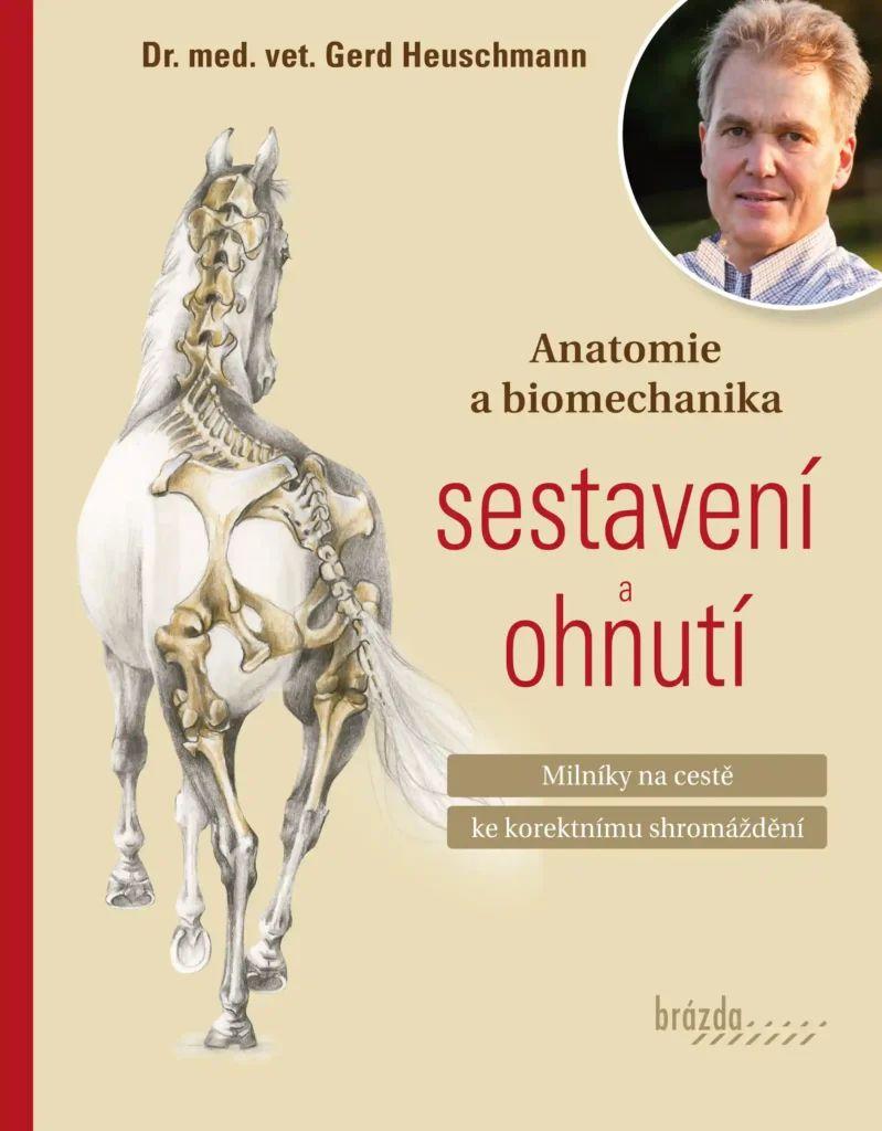 Obrázok Anatomie a biomechanika sestavení a ohnutí - Milníky na cestě ke korektnímu shromáždění