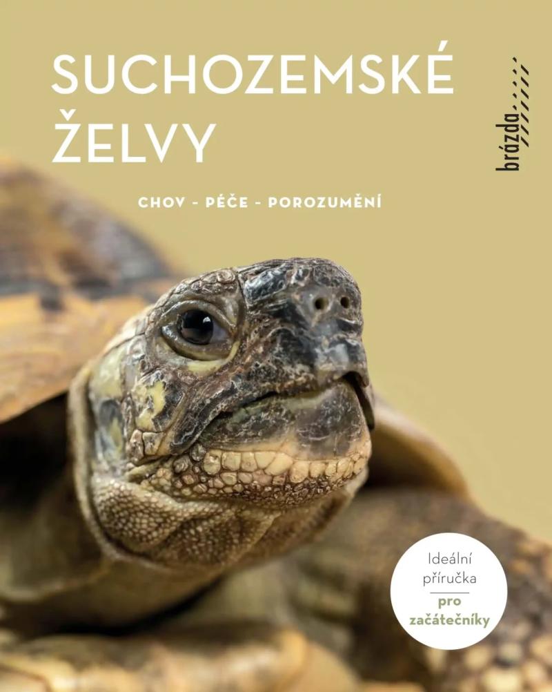 Obrázok Suchozemské želvy - Chov, péče, porozumění