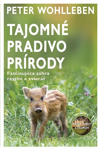 Obrázok Tajomné pradivo prírody