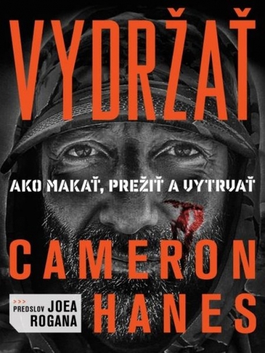 Obrázok Vydržať