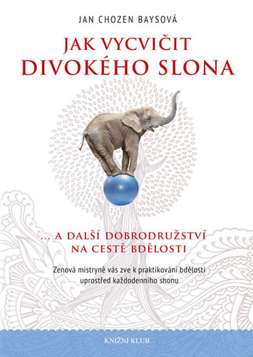 Obrázok Jak vytrénovat divokého slona