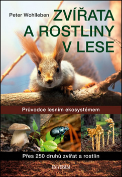 Obrázok Zvířata a rostliny v lese