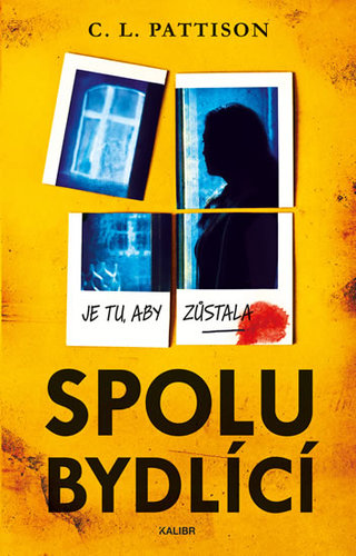 Obrázok Spolubydlící