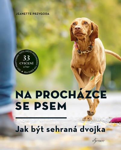 Obrázok Na procházce se psem
