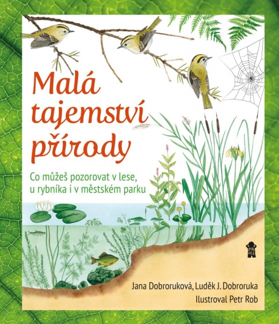 Obrázok Malá tajemství přírody I: Práce v přírod