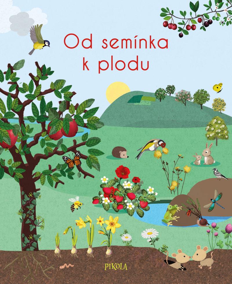 Obrázok Od semínka k plodu