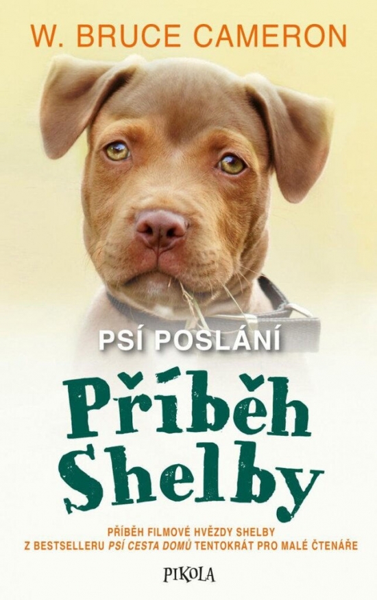 Obrázok Psí poslání: Příběh Shelby