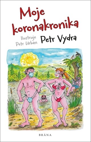Obrázok Moje koronakronika