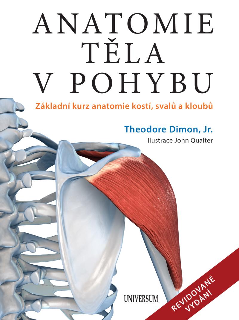 Obrázok Anatomie těla v pohybu - Základní kurz anatomie kostí, svalů a kloubů