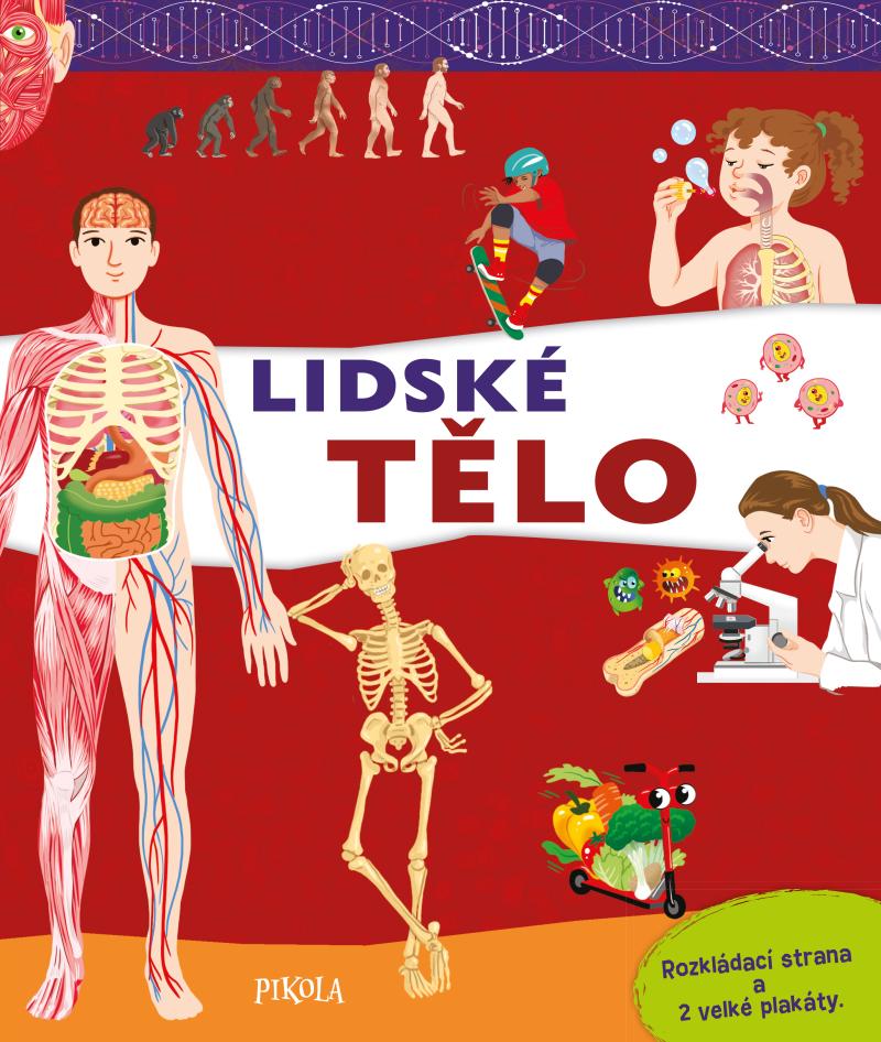Obrázok Lidské tělo