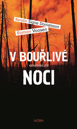 Obrázok V bouřlivé noci