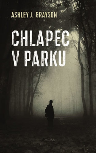 Obrázok Chlapec v parku