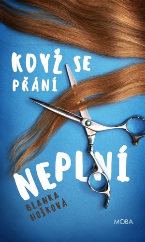 Obrázok Když se přání neplní